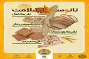 پویش ملی اطلاع‌رسانی تغذیه سالم با شعار «نانو سلامت»